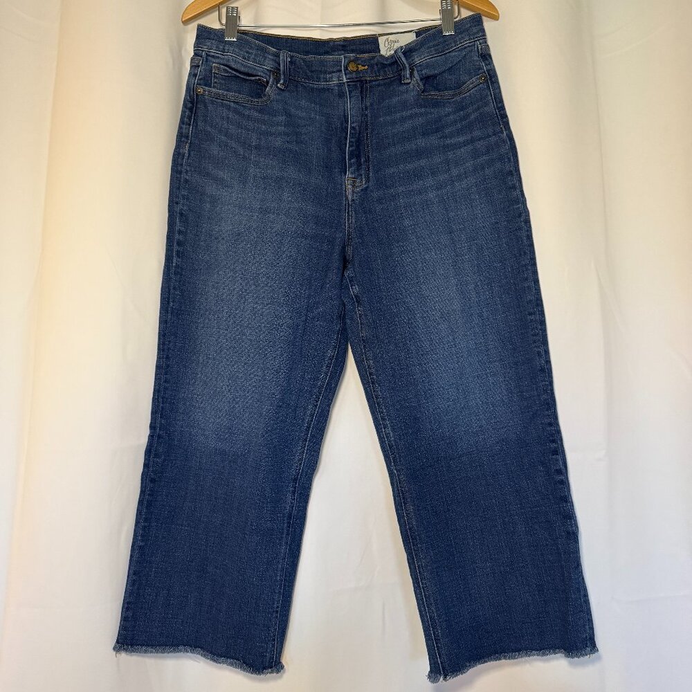 Cosmic Blue Love Carter Cropped Wide Leg Capri Jeans Womens 32 High Rise EUC